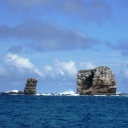 Darwin Island 14.JPG